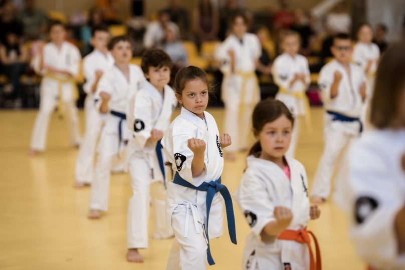 Karatė mokykla „Baltas vilkas“ / VšĮ „Sėkmingas sportas“