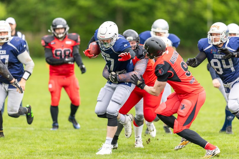 Vilnius Iron Wolves